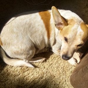 Meet your Posher, Gail